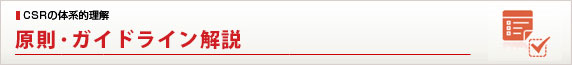 CSRの体系的理解 原則・ガイドライン解説