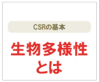 生物多様性とは