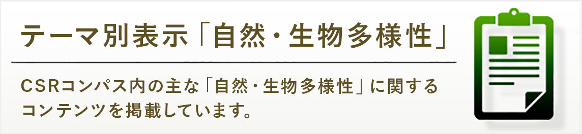 ランキング・表彰一覧