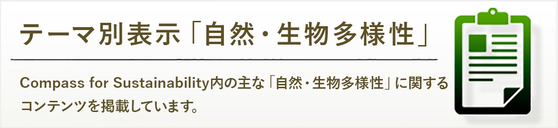 ランキング・表彰一覧